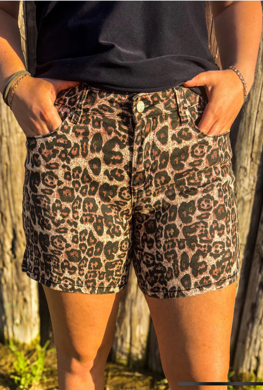 Jeans-Pants-Shorts