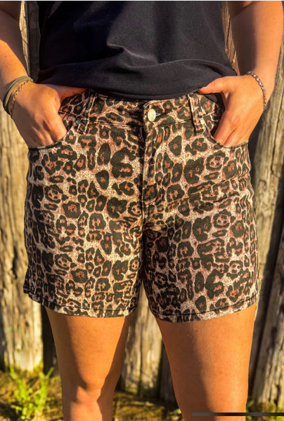 Jeans-Pants-Shorts