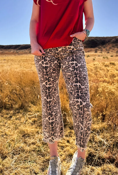 Jeans-Pants-Shorts